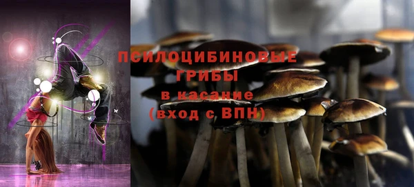 герыч Зеленокумск