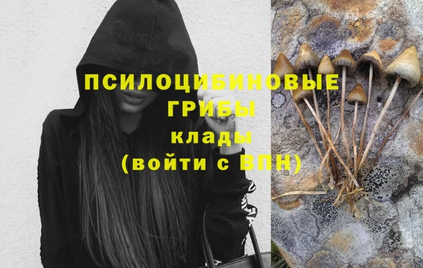 герыч Зеленокумск