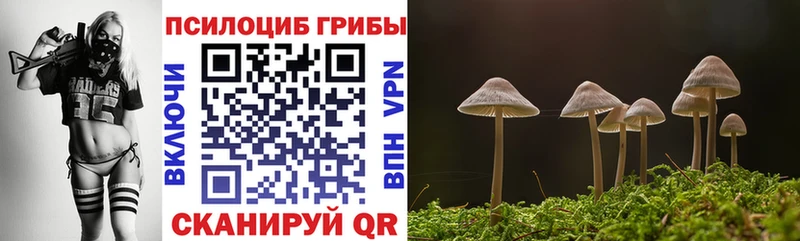Купить где  Киреевск  Псилоцибиновые грибы мухоморы 