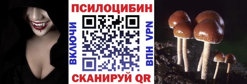 Галлюциногенные грибы Cubensis Киреевск